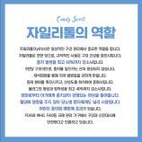 디자인제작 이미지